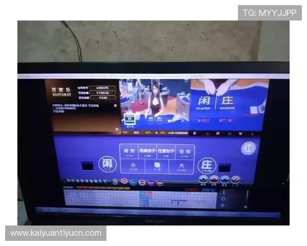 利用百家乐路单图片进行实战分析提升你的赢面与盈利能力